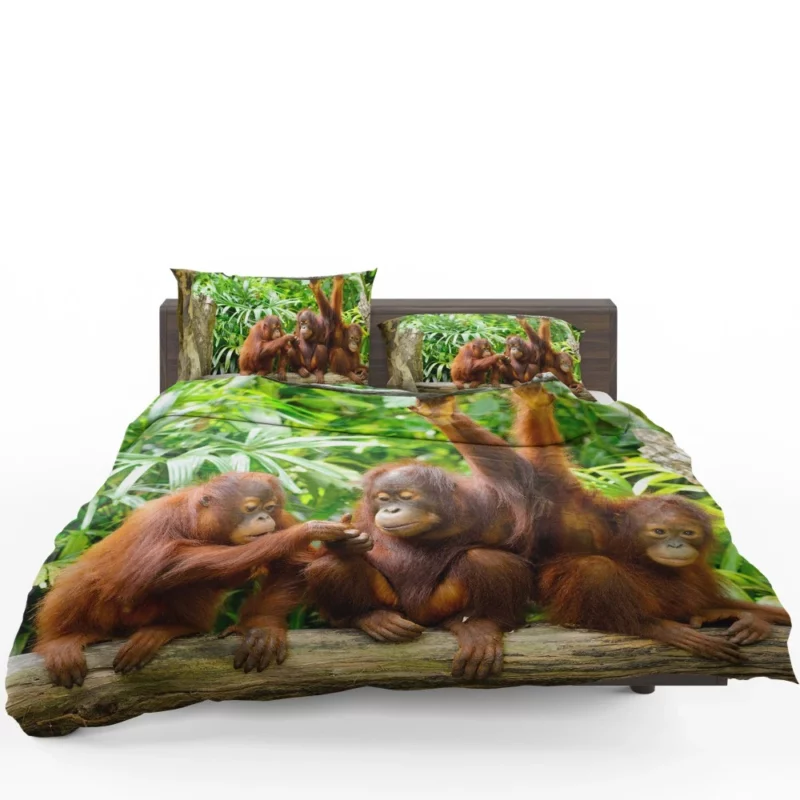 Orangutan Duo Nature Playful Spirits Bedding Set