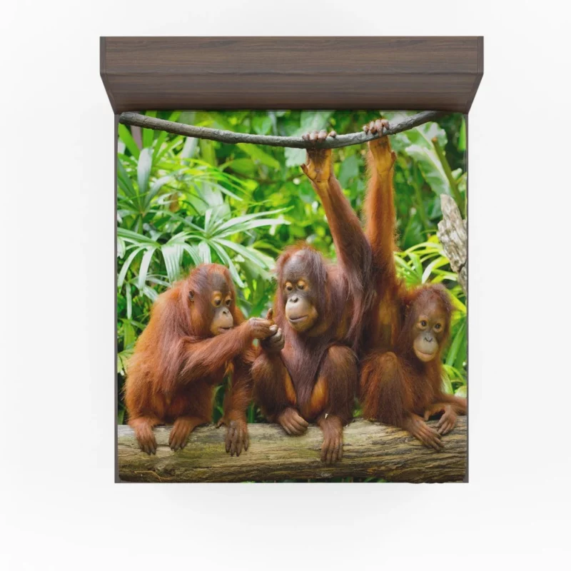 Orangutan Duo Nature Playful Spirits Fitted Sheet 1