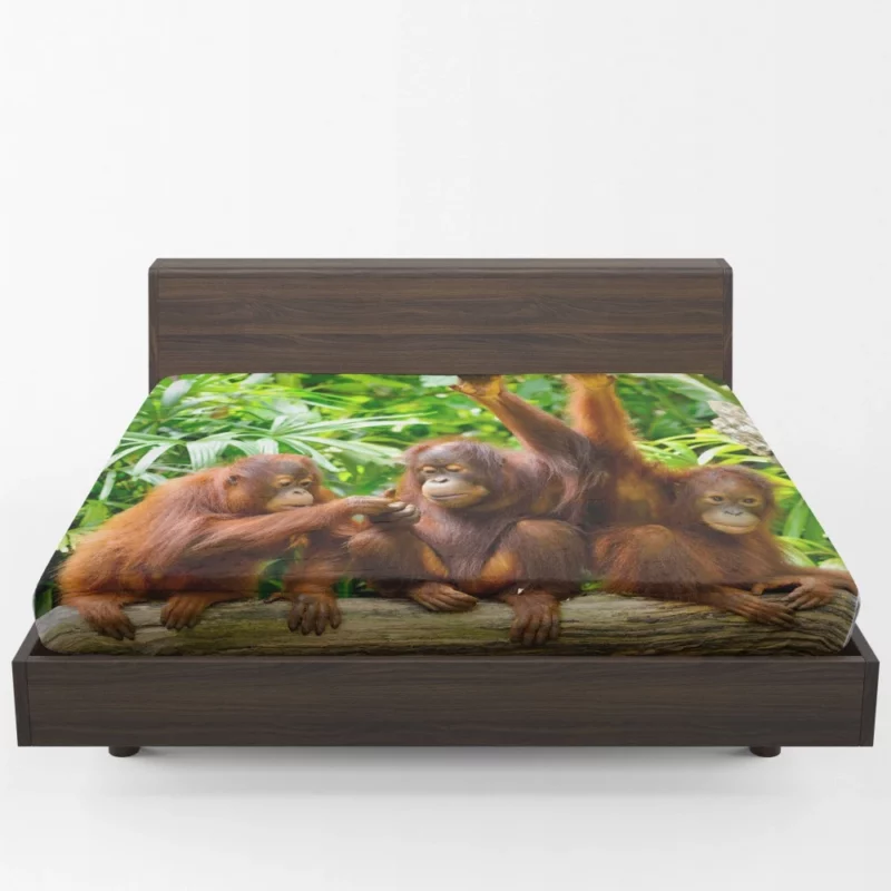 Orangutan Duo Nature Playful Spirits Fitted Sheet