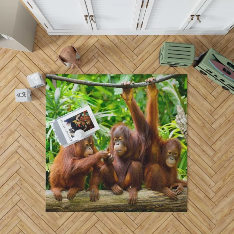 Orangutan Duo Nature Playful Spirits Rug