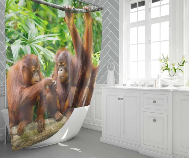 Orangutan Duo Nature Playful Spirits Shower Curtain 1