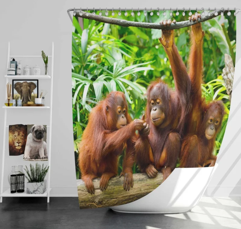 Orangutan Duo Nature Playful Spirits Shower Curtain