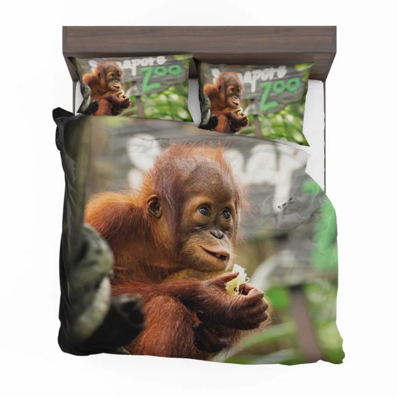 Orangutan Playful Expressions Jungle Joy Bedding Set 1