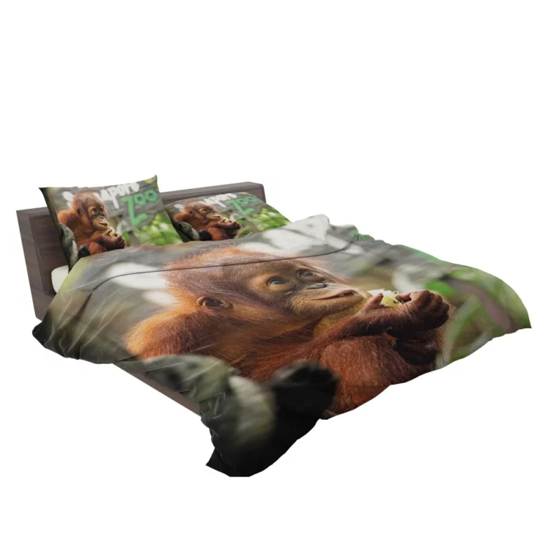 Orangutan Playful Expressions Jungle Joy Bedding Set 2