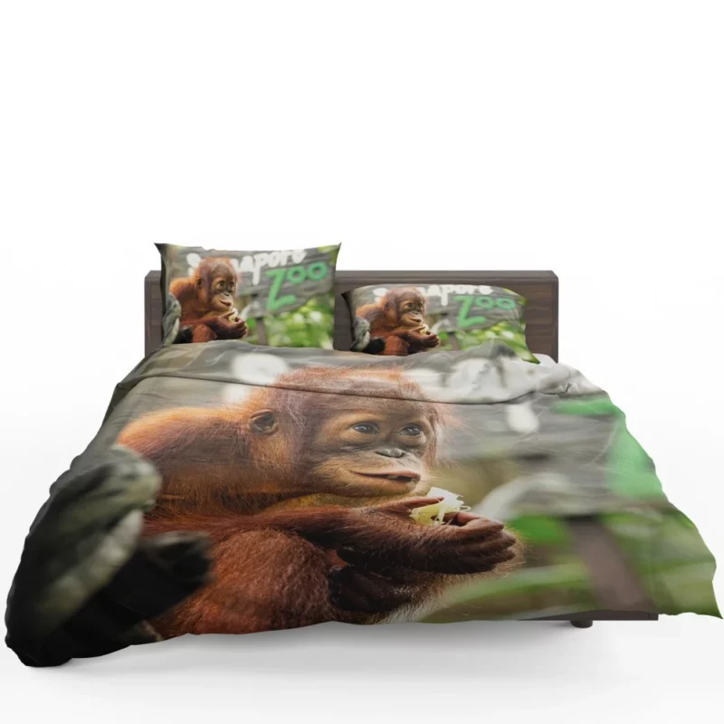 Orangutan Playful Expressions Jungle Joy Bedding Set