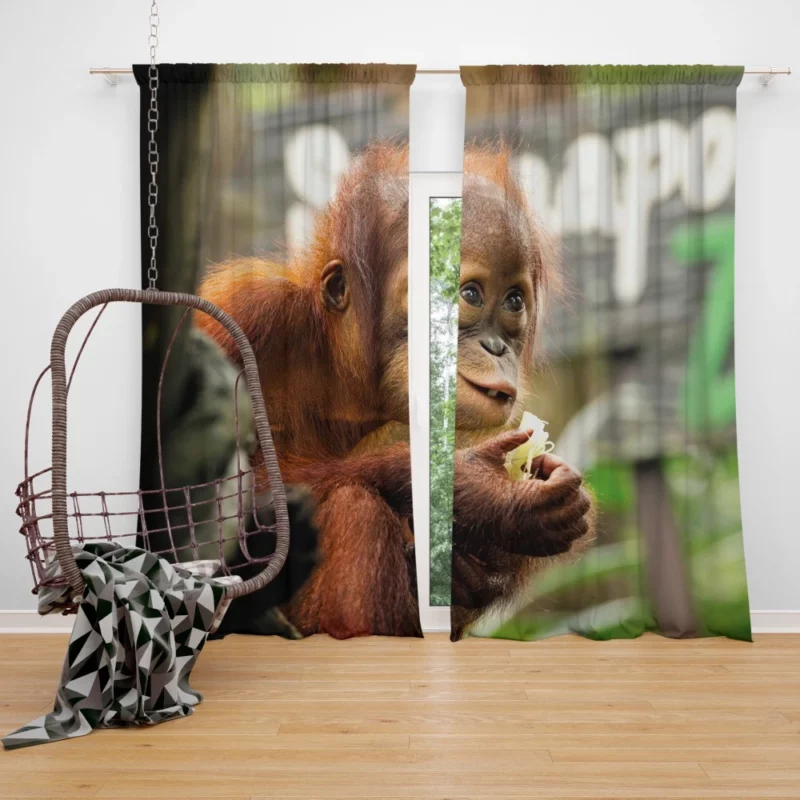 Orangutan Playful Expressions Jungle Joy Curtain