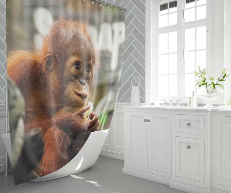 Orangutan Playful Expressions Jungle Joy Shower Curtain 1