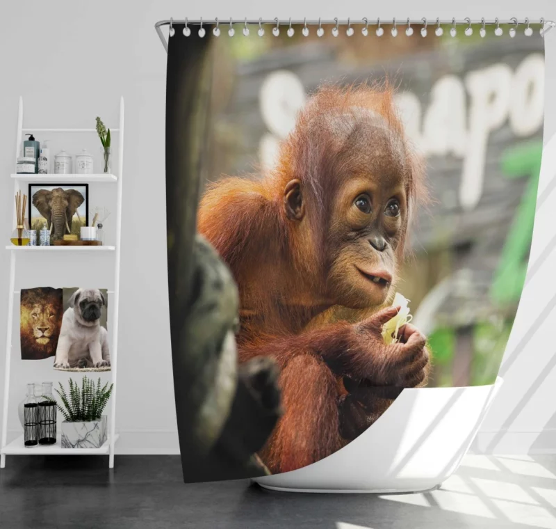 Orangutan Playful Expressions Jungle Joy Shower Curtain