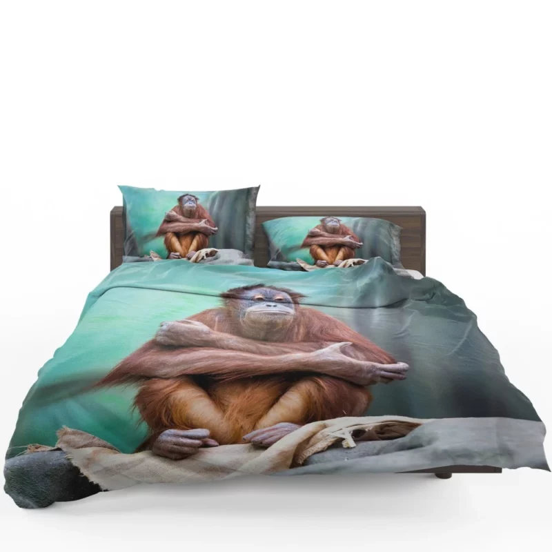 Orangutan Playful Persona Primate Delight Bedding Set