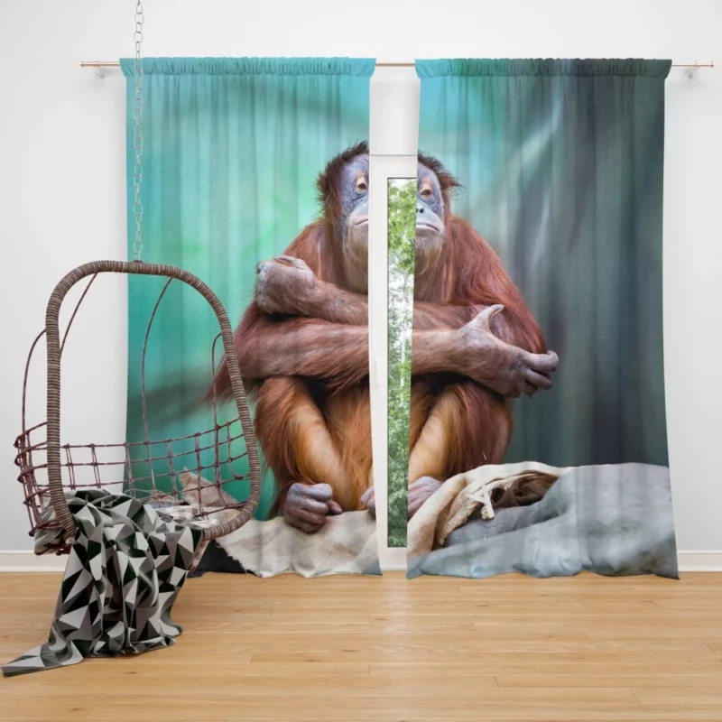 Orangutan Playful Persona Primate Delight Curtain