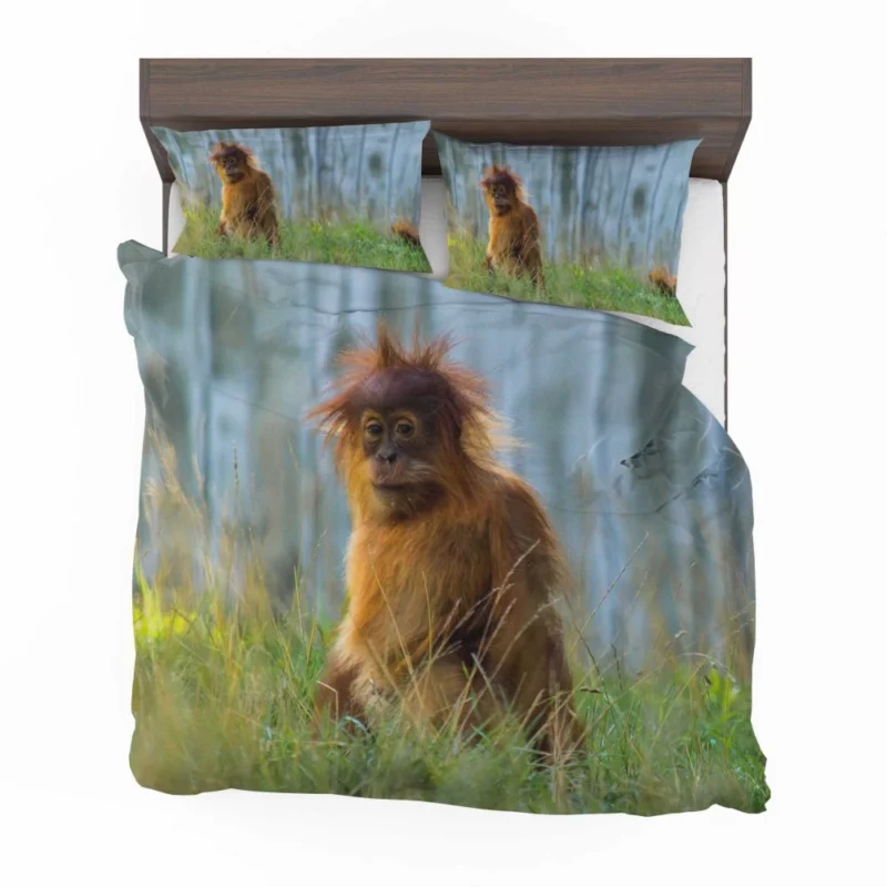 Orangutan Playful Spirit Jungle Charisma Bedding Set 1