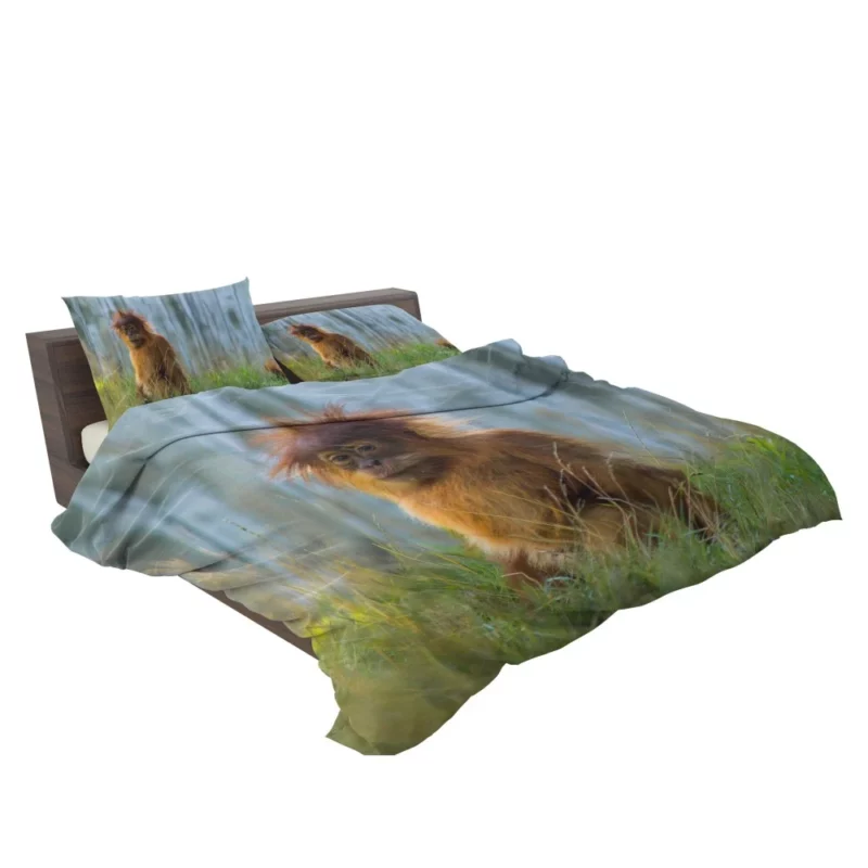 Orangutan Playful Spirit Jungle Charisma Bedding Set 2