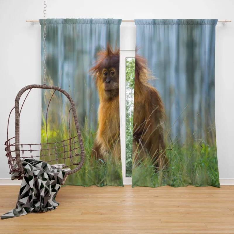 Orangutan Playful Spirit Jungle Charisma Curtain