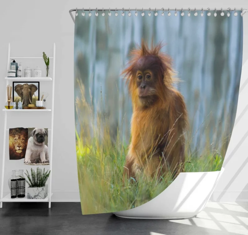 Orangutan Playful Spirit Jungle Charisma Shower Curtain