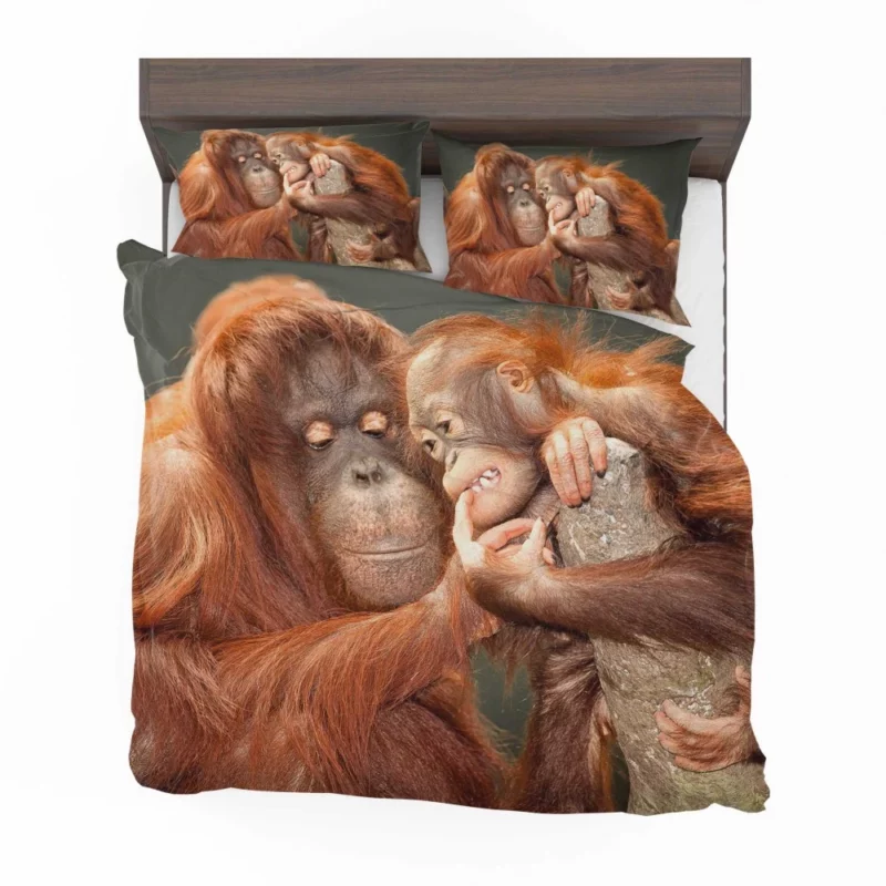 Orangutan Primate Play Curious Innocence Bedding Set 1