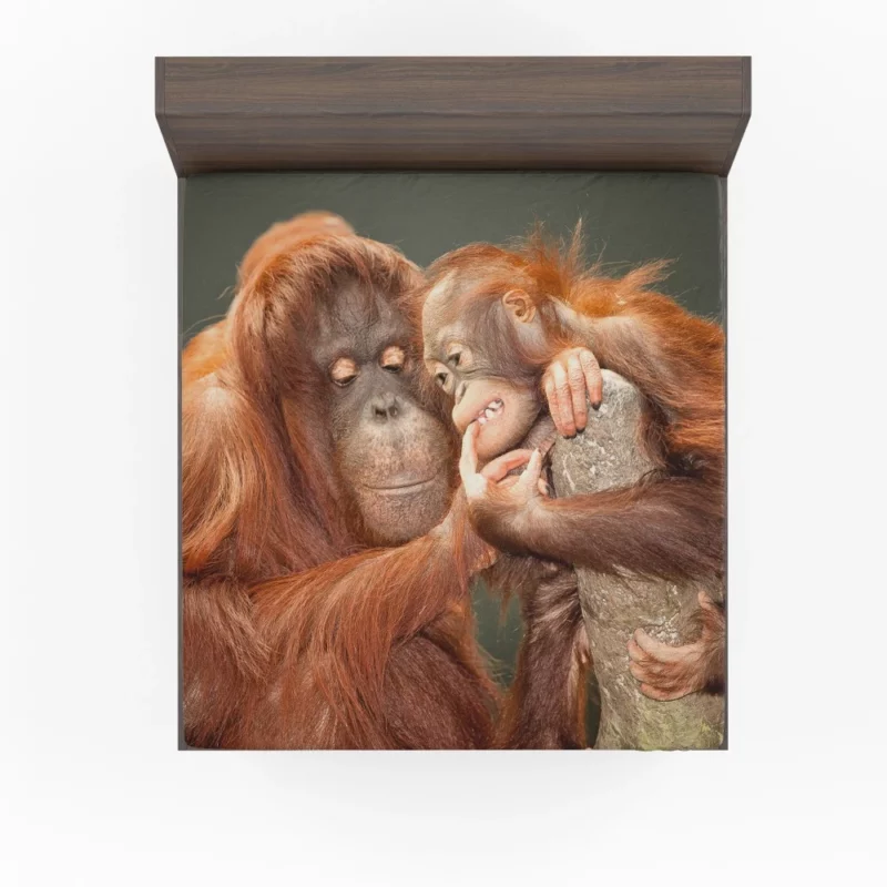 Orangutan Primate Play Curious Innocence Fitted Sheet 1