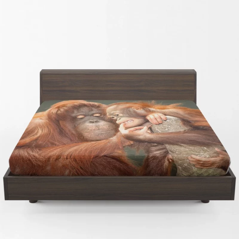 Orangutan Primate Play Curious Innocence Fitted Sheet