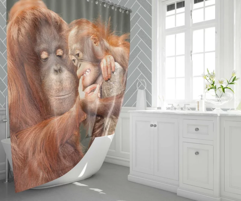 Orangutan Primate Play Curious Innocence Shower Curtain 1