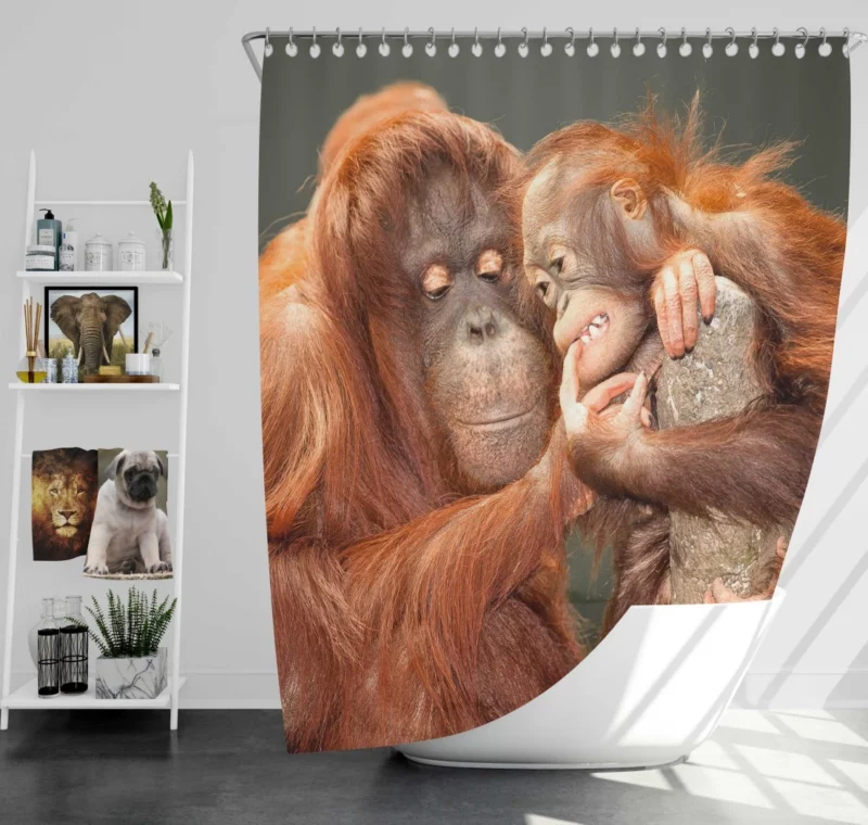 Orangutan Primate Play Curious Innocence Shower Curtain