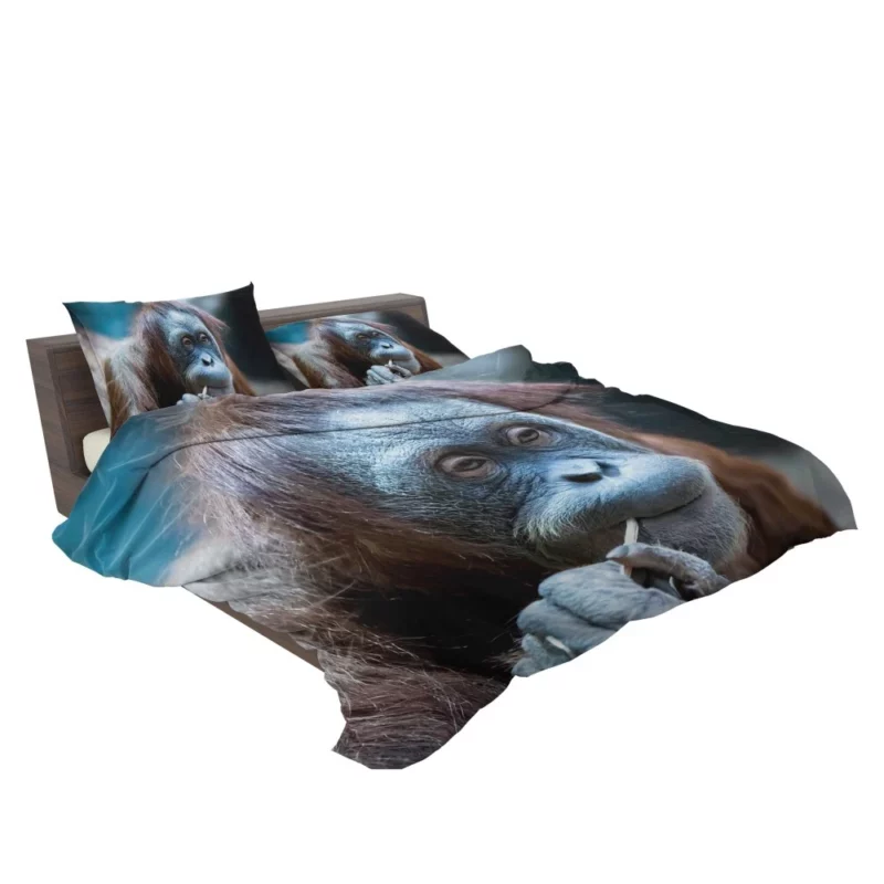 Orangutan Primate Wonder Curious Persona Bedding Set 2