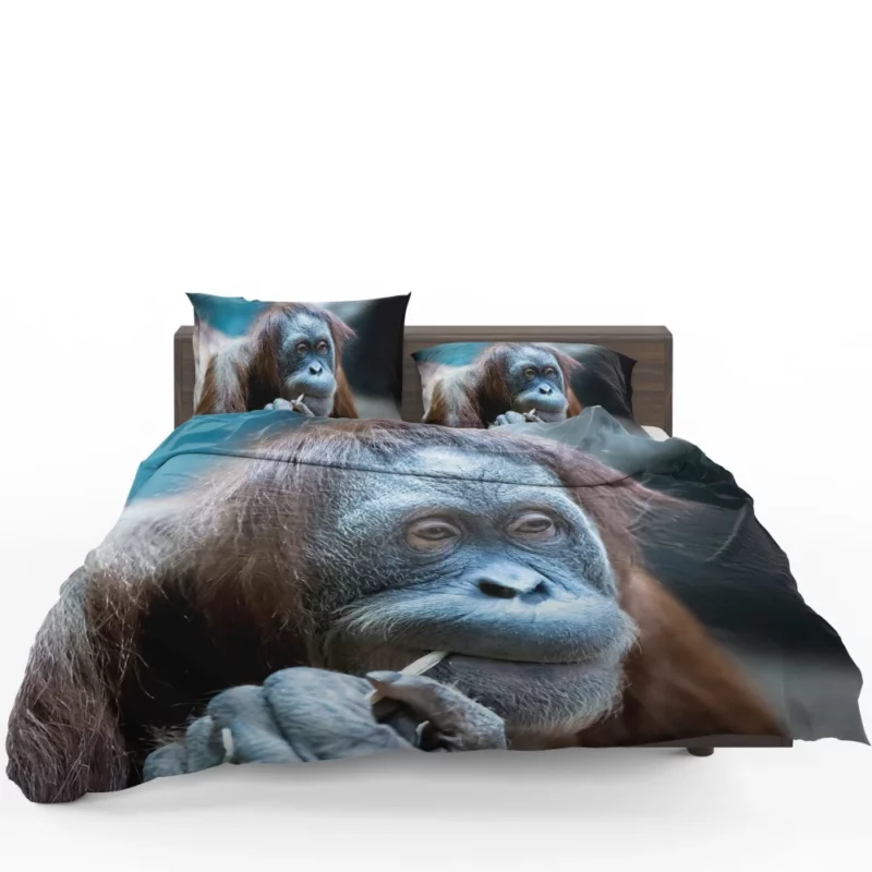 Orangutan Primate Wonder Curious Persona Bedding Set