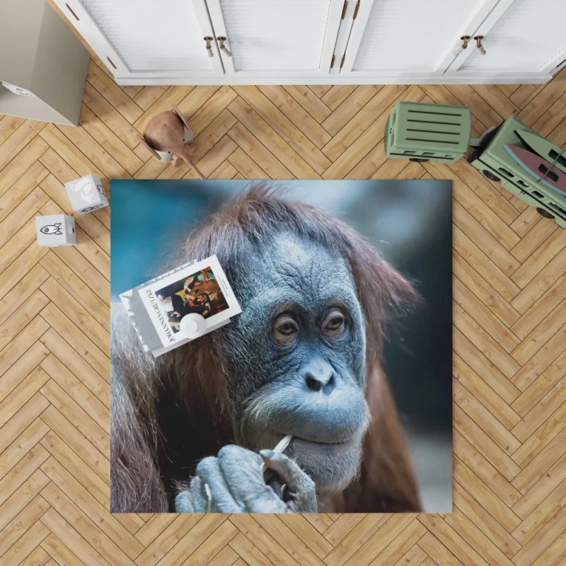 Orangutan Primate Wonder Curious Persona Rug