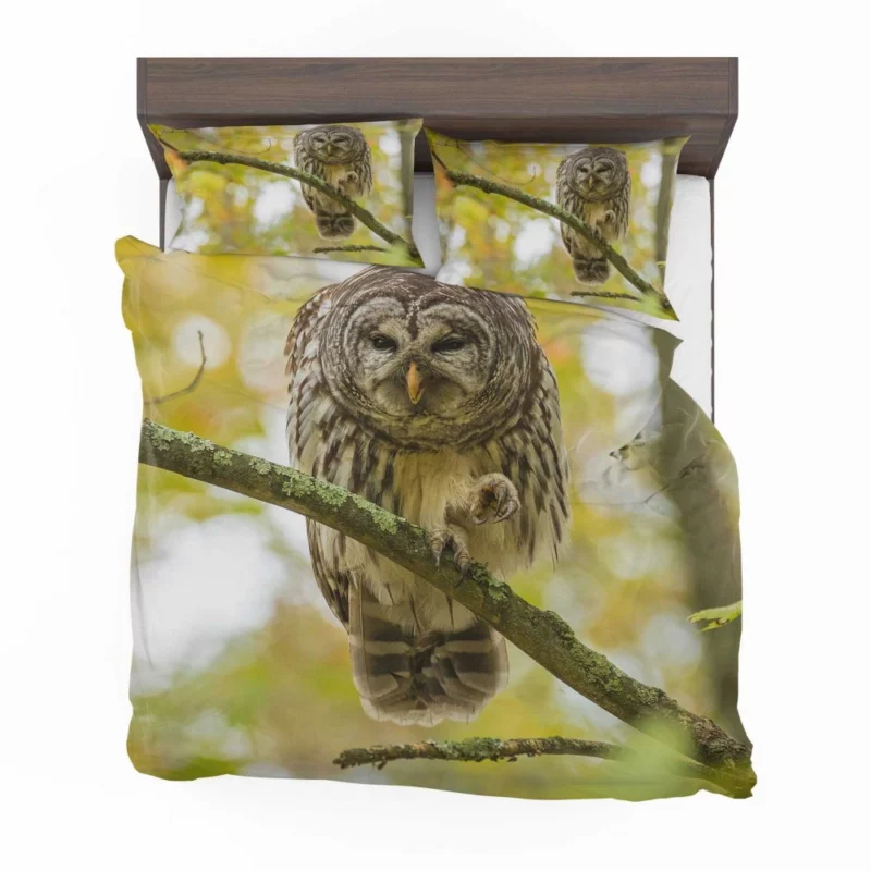 Owl Depth of Field Enigmatic Gaze Bedding Set 1