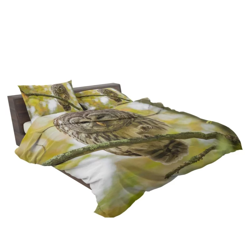 Owl Depth of Field Enigmatic Gaze Bedding Set 2