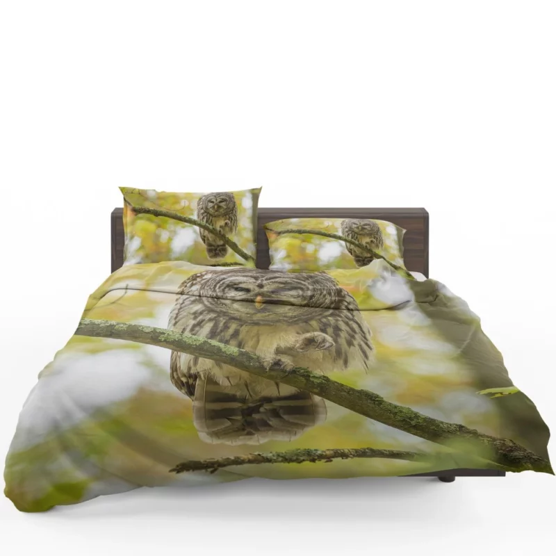 Owl Depth of Field Enigmatic Gaze Bedding Set