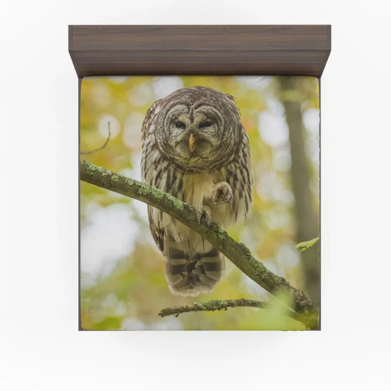 Owl Depth of Field Enigmatic Gaze Fitted Sheet 1