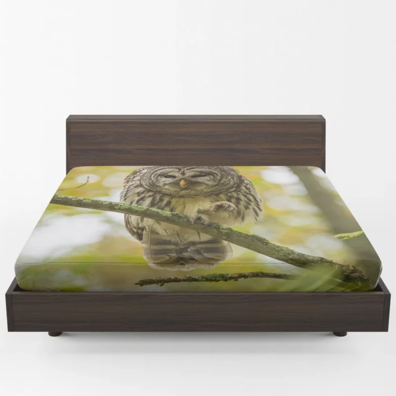 Owl Depth of Field Enigmatic Gaze Fitted Sheet