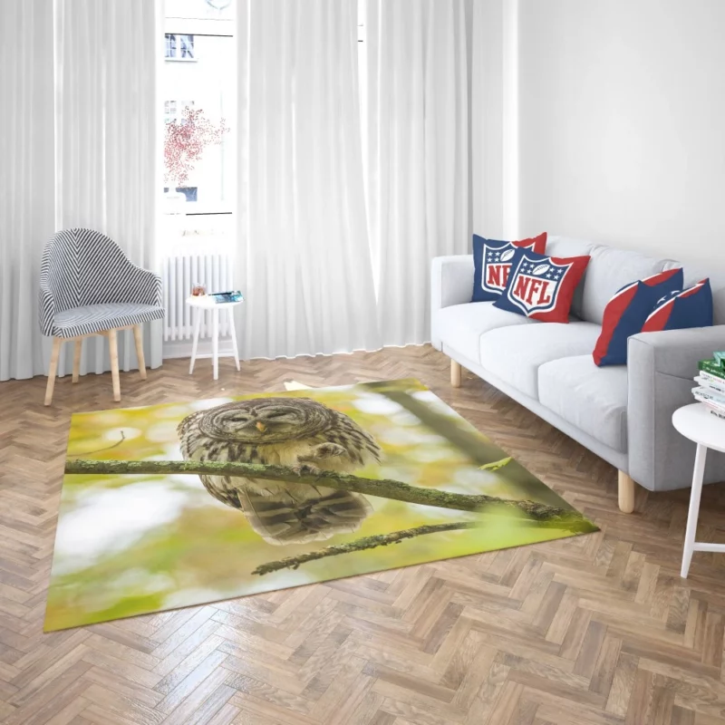 Owl Depth of Field Enigmatic Gaze Rug 2