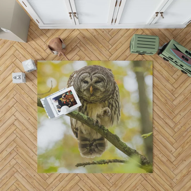 Owl Depth of Field Enigmatic Gaze Rug