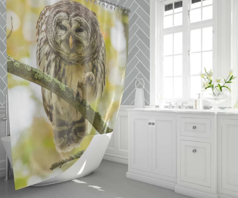 Owl Depth of Field Enigmatic Gaze Shower Curtain 1