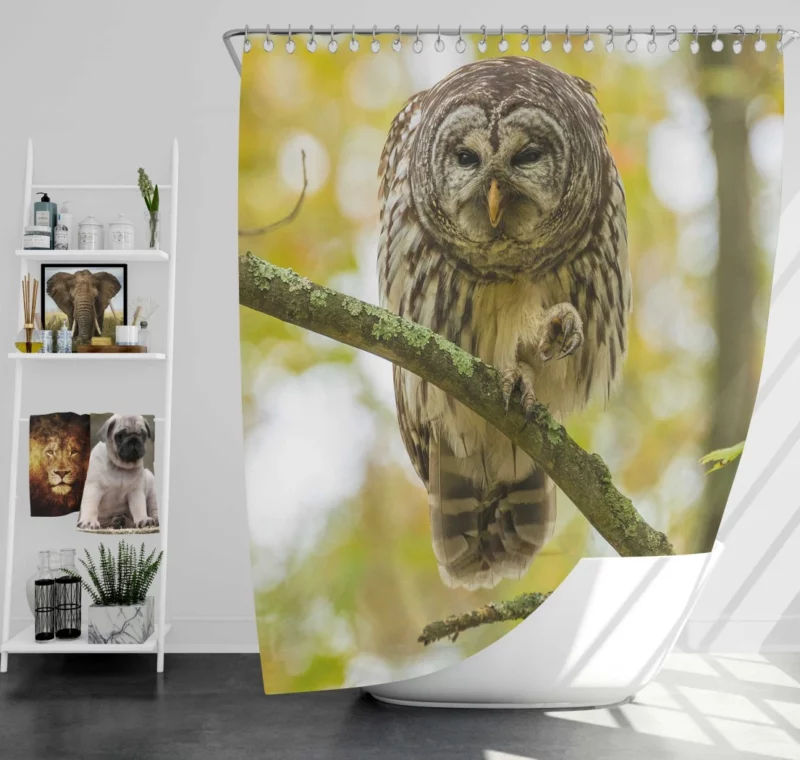 Owl Depth of Field Enigmatic Gaze Shower Curtain