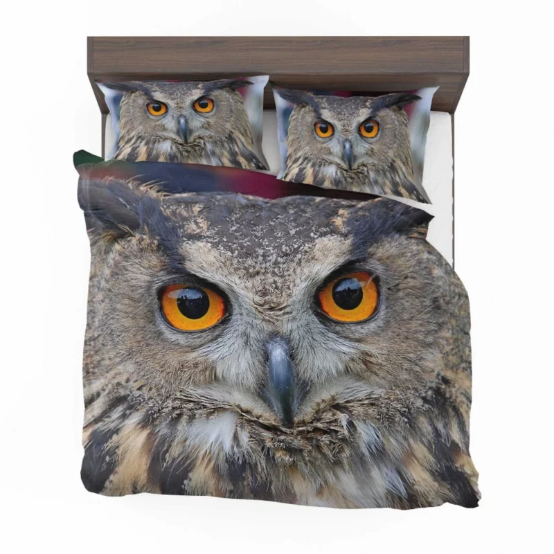 Owl Enigmatic Gaze Nocturnal Observer Bedding Set 1