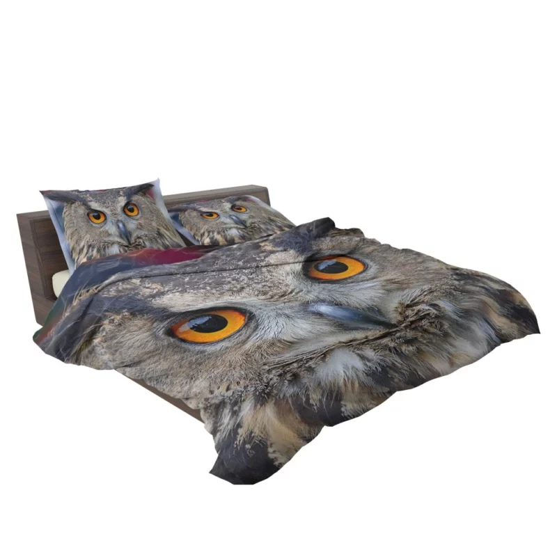 Owl Enigmatic Gaze Nocturnal Observer Bedding Set 2