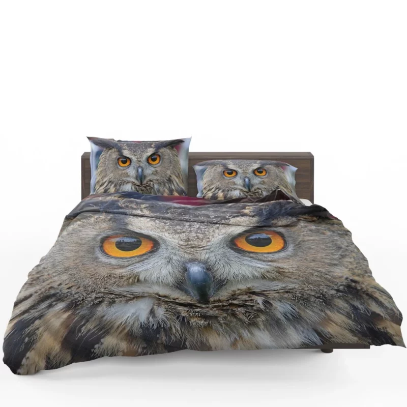 Owl Enigmatic Gaze Nocturnal Observer Bedding Set