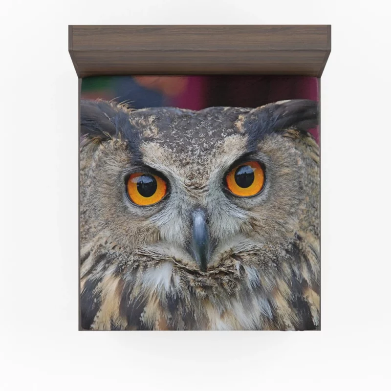 Owl Enigmatic Gaze Nocturnal Observer Fitted Sheet 1