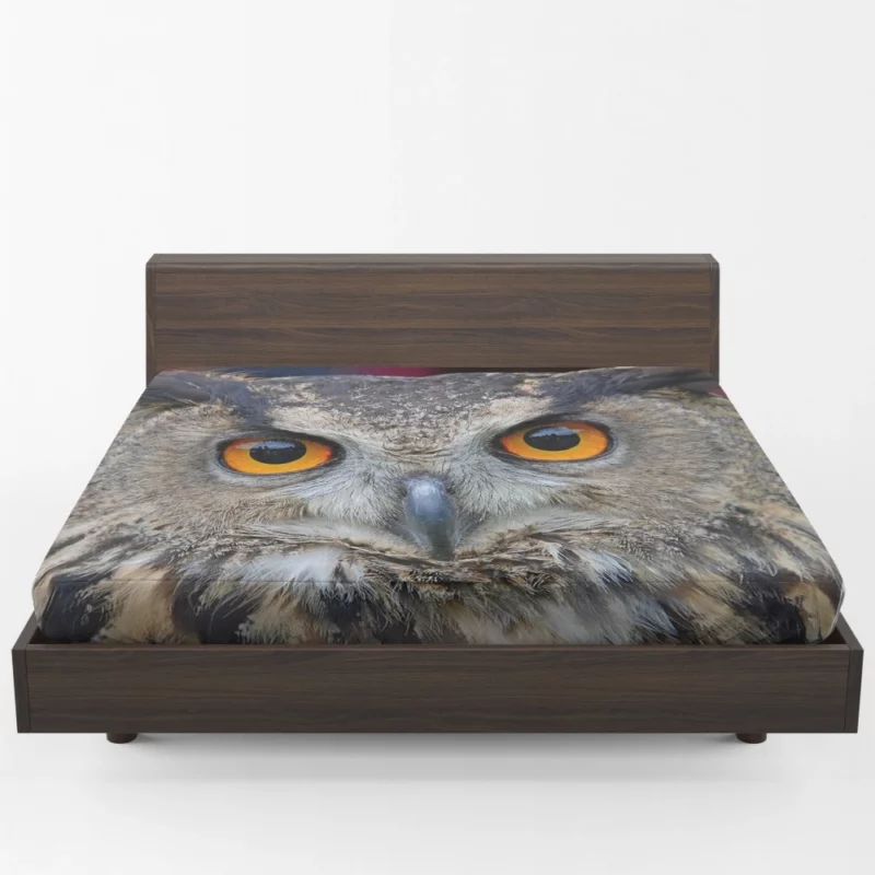 Owl Enigmatic Gaze Nocturnal Observer Fitted Sheet