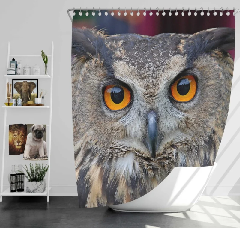 Owl Enigmatic Gaze Nocturnal Observer Shower Curtain