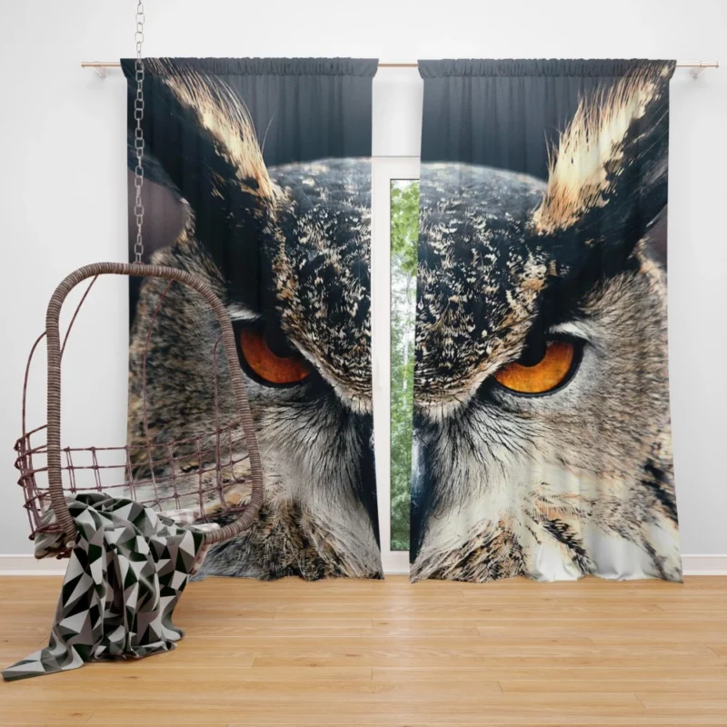 Owl Enigmatic Stance Nocturnal Vigil Curtain