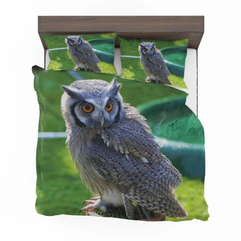 Owl Enigmatic Stare Nocturnal Watch Bedding Set 1