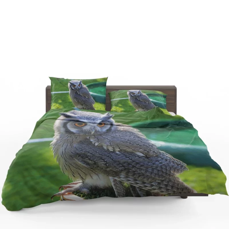 Owl Enigmatic Stare Nocturnal Watch Bedding Set