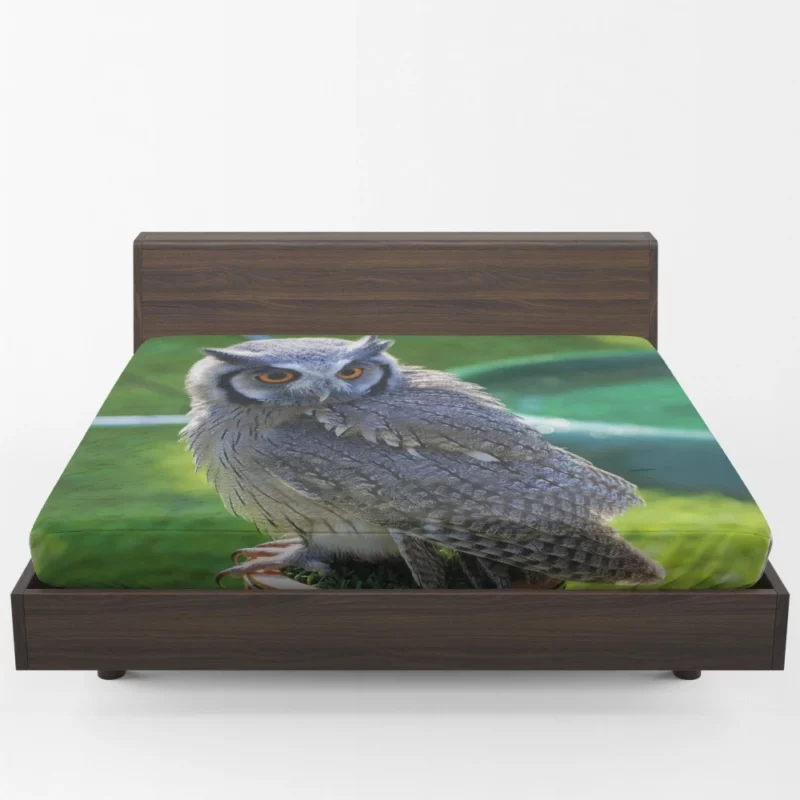 Owl Enigmatic Stare Nocturnal Watch Fitted Sheet