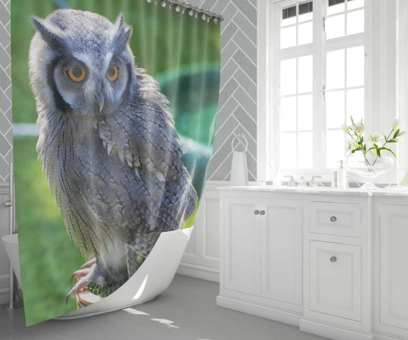 Owl Enigmatic Stare Nocturnal Watch Shower Curtain 1