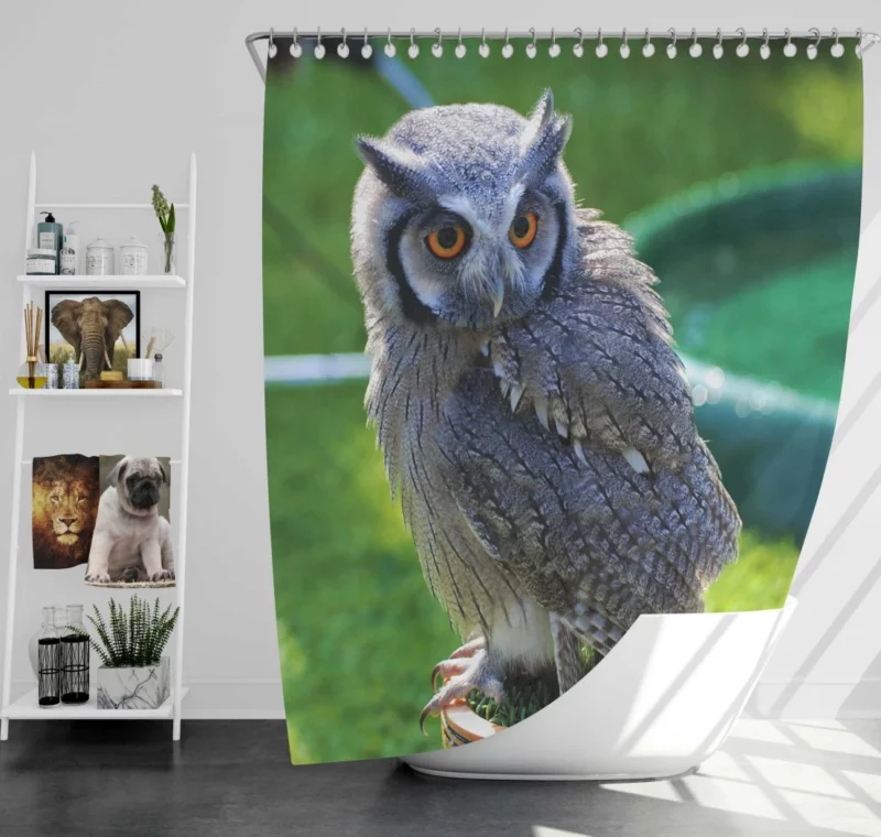 Owl Enigmatic Stare Nocturnal Watch Shower Curtain