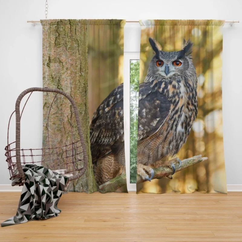 Owl Mysterious Stance Nocturnal Majesty Curtain