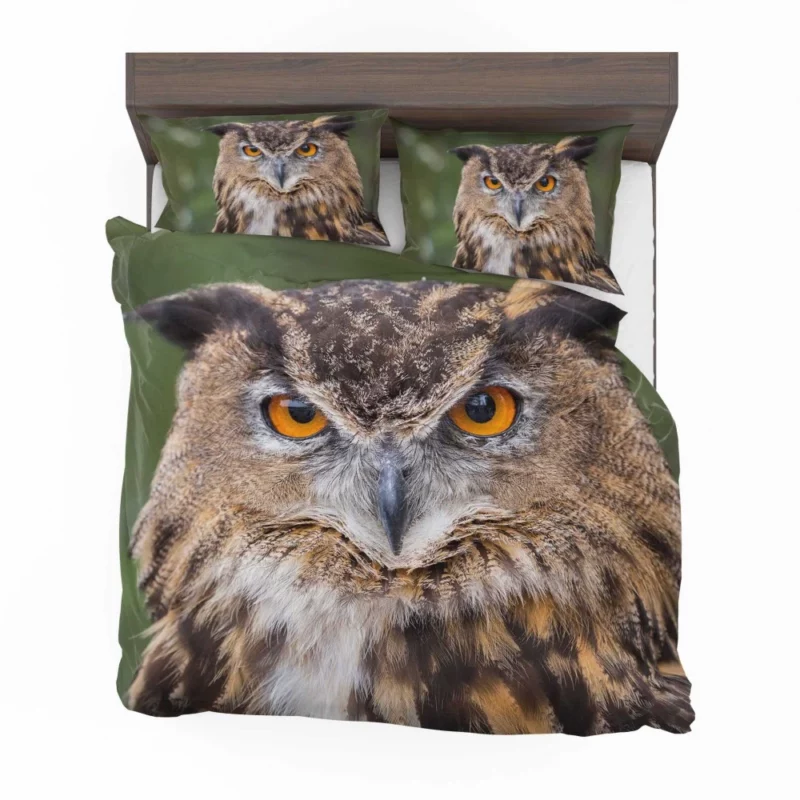 Owl Mystical Stare Nocturnal Observer Bedding Set 1