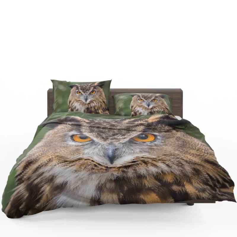 Owl Mystical Stare Nocturnal Observer Bedding Set